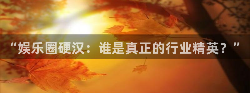 蓝图娱乐平台