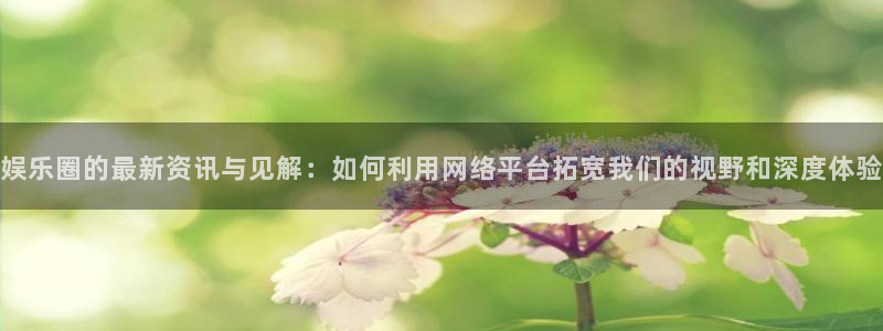 蓝图娱乐