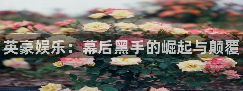 蓝图娱乐官网入口